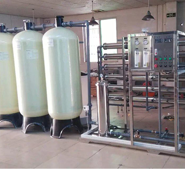 河北欣（xīn）奇典生物科技有限（xiàn）公司3T反滲透純水係統